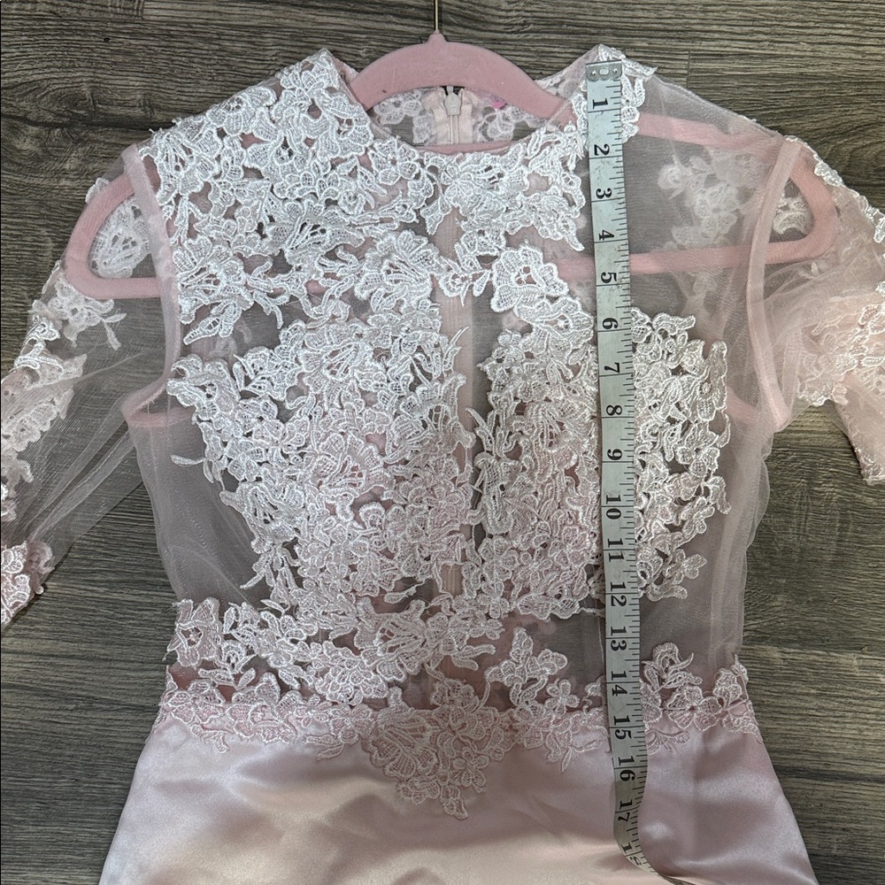 Chic Long Sleeve Pink Gown - Picture 7 of 9